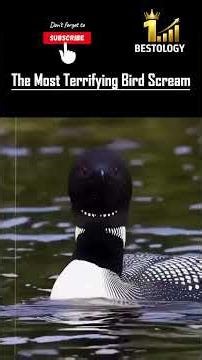 Bird Screams That Sound Absolutely Evil 😨 #TerrifyingBirds #ScarySounds #Viral