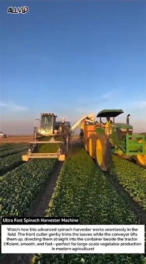 Ultra Fast Spinach Harvester Machine – Modern Farming Technology