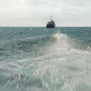 753 reactions · 198 shares | ¡Ahí viene! El tiburón más grande que ha existido jamás. #Megalodón – Ya en cines | Warner Bros. Pictures | Facebook