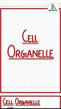 Functions of Cell Organelles Explained 😳🧬