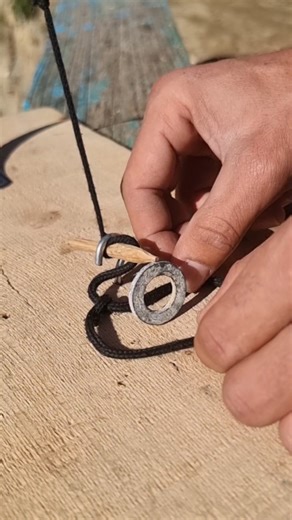 Genius Homemade Trap Hack #travel #trap #secrethacks