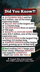 World’s Most Expensive, Largest, and Fastest Things #facts #reelsfypシ #fblifestyle #viralvideo | Time Facts