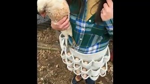 Princess Pinky Girl on Reels