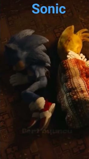 #sonic #mails tails s Sonic friendship 👍🏻😊#sonicthehedgehog