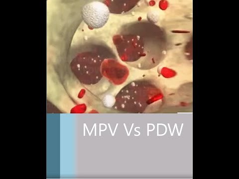 What Does PDW Mean in Blood Test