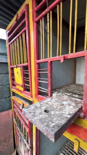 Si Gambir Comres telurnya malah pecah😱