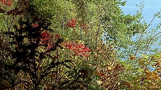 Nouvelle vague (Jean-Luc Godard, 1990)