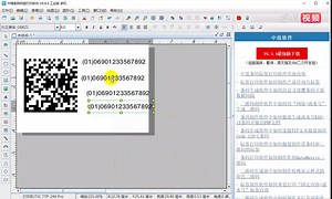 条码软件如何批量打印流水号GS1 DataMatrix二维ma及其右侧文本