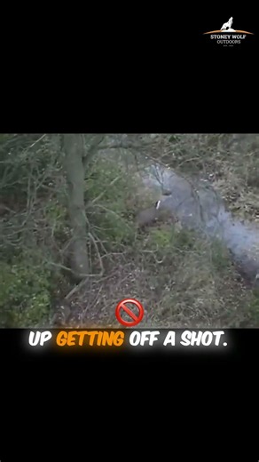 Are you hunting too low? Stop getting busted.