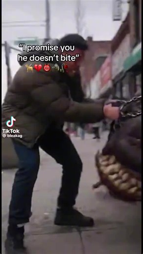 Godzilla 2019 (@spidervenom748)’s videos with original sound - Godzilla 2019