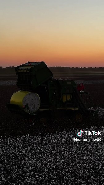Cotton Harvesting Techniques from Ms. Delta Acres