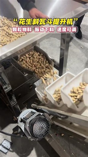 Bucket Elevator for Peanuts