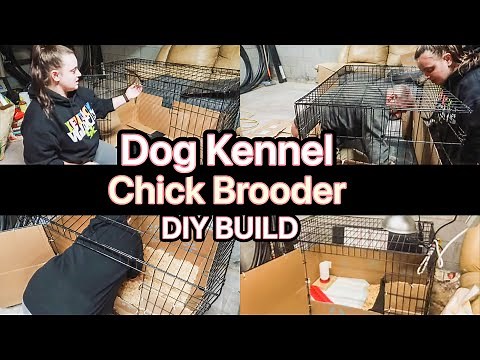 Making A Chick Brooder | Dog Kennel Brooder | DIY Brooder For Chicks | Southern Vlogs