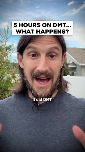 What happens when you're on DMT for 5 straight hours?