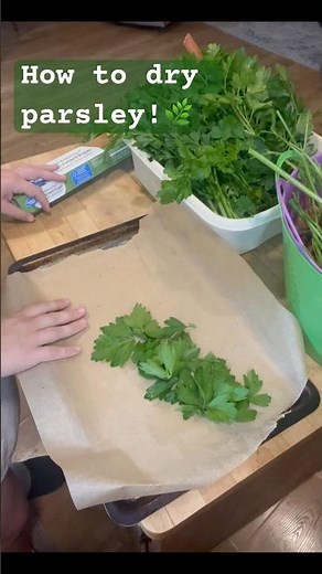 How to dry herbs in your oven! We are drying parsley here🌿 #farmlife #gardening #foodsaver