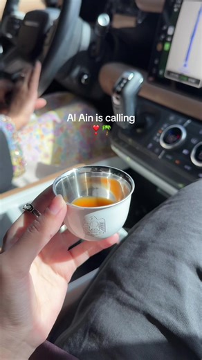 Explore Al Ain: The Perfect Weekend Getaway