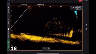 Active Target 2 screen recording of an old shipwreck of a freight vessel from 1800. The measurements shown on the screen are in meters. 🤯 Clarity and detail. #activetarget2 #lowrancefishing | Lowrance