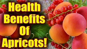 Health Benefits Of Apricots | BoldSky