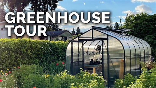 Backyard Greenhouse Tour Placement, Setup, & Gear!