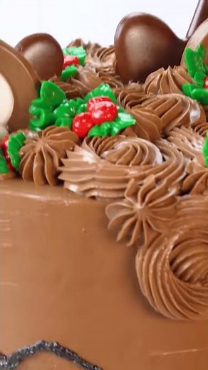 Funny Animal Chocolate Cake Decorating