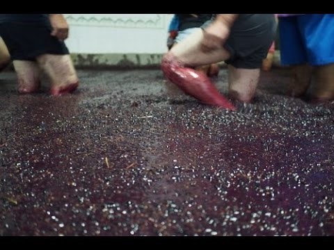 Making Port Wine in Portugal's Douro Valley