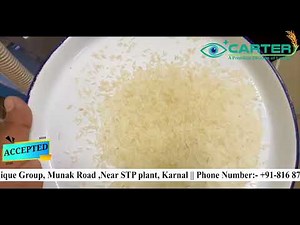 How Rice got sorted into best quality at premium rice plant || Carter Unique Group