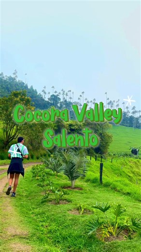 🌴 The Cocora Valley hike has to be one of the most unforgettable experiences in Colombia 🇨🇴 Towering wax palms, lush green mountains and those how is this actually real? views 🌿🌴 Just outside Salento in Colombia’s Quindío region, Cocora Valley is famous for being home to the world’s tallest palm trees … and yes, the views are every bit as dramatic in person. 🥾 Cocora Valley hiking tip: you can choose different routes depending on how much time and hiking you want to do, but even the shorte
