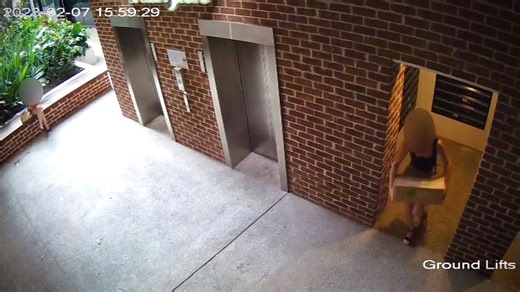 Brazen parcel thieves lifting packages from apartment lobbies amid warnings thefts likely to increase around Christmas