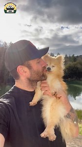 1.8M views · 183K reactions | Pom Poms wanted to say hi to you today. She’s right next to me and I already miss her… ❤️ | The Asher House | Facebook