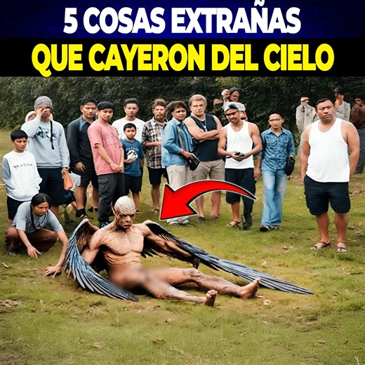 31K views · 862 reactions | 5 Cosas Extrañas que Cayeron del Cielo | Emprendedor Millonario | Facebook