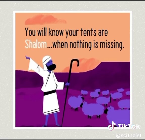 Shalom / Peace Biblical peace is about wholeness or completeness, and it was brought to earth in the person of Jesus, the Prince of Peace. #Bibleproject #biblicalstudies #hebrewlanguage #timmackie #foryoupage