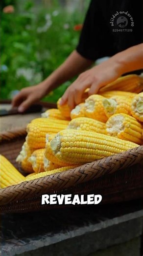 Chewy summer snack prepared with corn