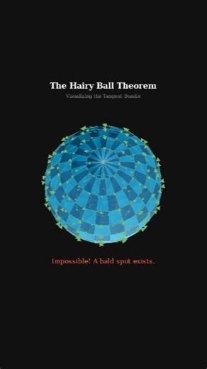 Why You Can't Comb a Hairy Ball 🤯 (Math Explained)
