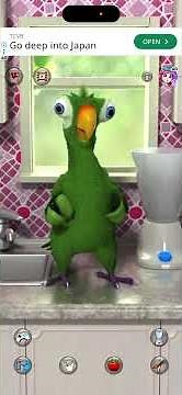 Playing Talking Pierre the Parrot