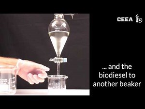 Bio diesel from sunflower oil