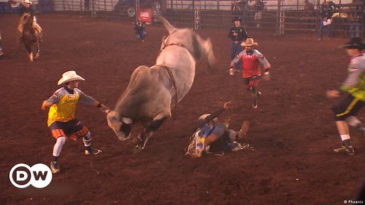 A Matter of Life and Death - Rodeo in Brazil