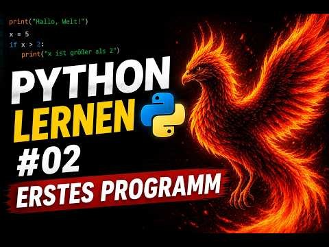 Erstes Python Programm schreiben | Python lernen #02