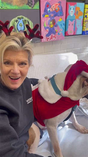 Who’s the most handsome dog in Madison? Cheech boy is !! Y’all as you can see he’s a sweetheart just waiting for you to adopt him. Adoption fee $100, 601-605-4729 | Webster Animal Shelter