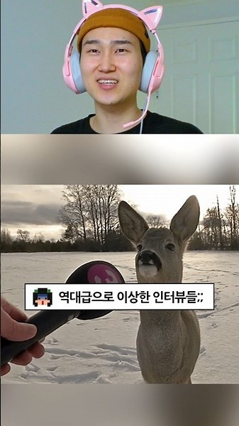 A collection of mind-boggling interviews lol