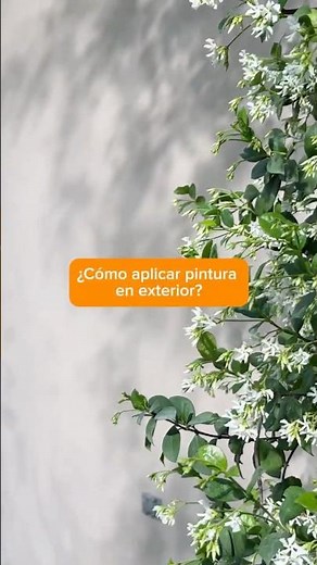 🎨☀️ ¿Cómo aplicar pintura en EXTERIOR?