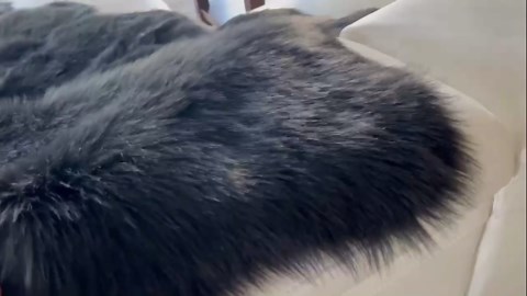 Uhale Digital Picture Frame WiFi 10.1 Inch with 32GB Storage, Electronic Photo Frames 1280 x 800 HD IPS Touch Screen, Auto Rotate, Slideshow, Instantly Share Photos and Videos from Anywhere