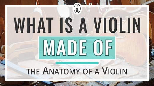 What is a Violin Made Of? - Violinspiration