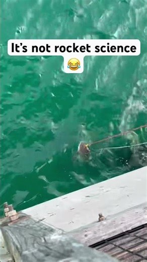 Gaffing a shark!! #Fishing #Florida #TheWar #MrBeast