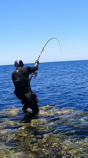 160K views · 24K reactions | Zenaq Accura Defi Muthos 100 HH / Amazing GT Battle  With @coast_anglers @islam_akawy @seariverfishingtrips Rod : Zenaq Accura Defi Muthos 100 HH @zenaq Reel : Shimano Saragossa 8000 Line : Momoi pe3 Single Hook : BKK SF Reefmaster NP jigging assist hook 7/0 @bkk_arabia @bkkhooksinternational #fishing #sea #nature #naturelovers #pescaria | Mohssine Fishing | Facebook
