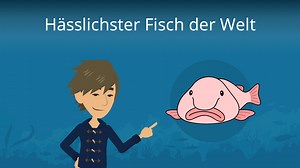 Hässlichster Fisch der Welt • Welcher ist es?