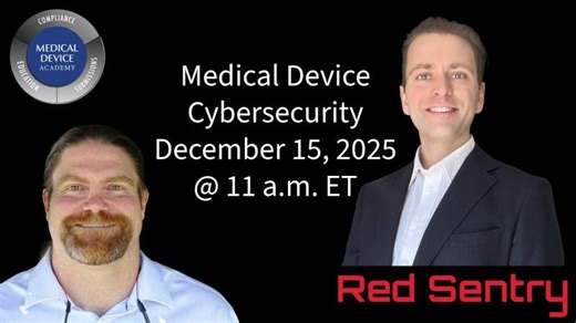 What is robust cybersecurity testing? An interview with Max Turner from Red Sentry | Max Turner