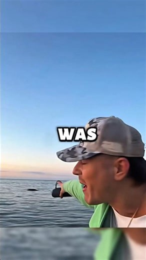 Jetzt erreichen uns heute neue Infos über Wal Timmy in der Nordsee