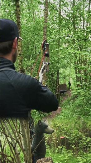 🎯 Part 10/14: 3D Archery Course JBC Wuppertal 🏹