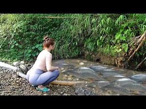 Full Video: Young Girl's Fishing on River and Lake, How to Fishing with Nets Catch Giant Fish
