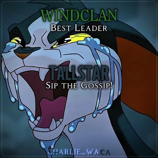 The best/worst Leaders in Warrior Cats!! // MY OPINION‼️#warriorcats #waca #leaders #viral